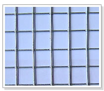 Welded Wire Mesh