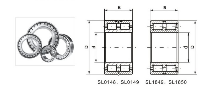 Full completement cylindrical roller bearings