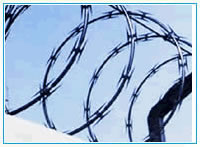 Barbed Wire