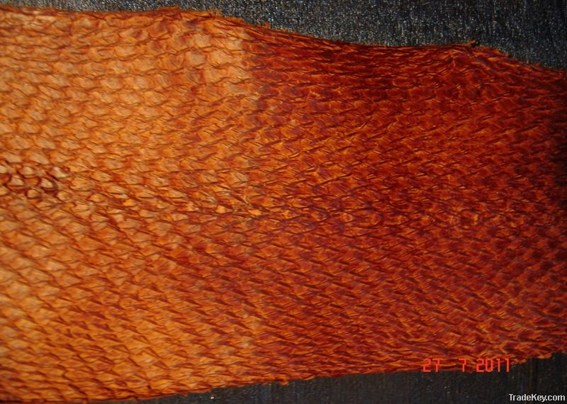 Salmon leather