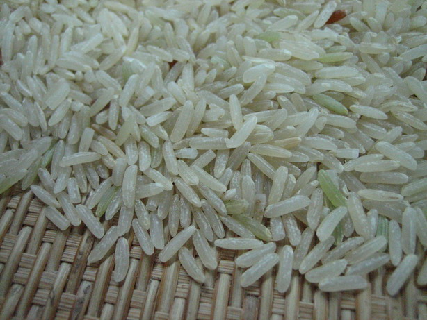 BASMATI RICE EXPORTER| KERNAL RICE WHOLESALER| WHITE RICE MANUFACTURER| LONG GRAIN TRADER| PARBOILED RICE IMPORTERS