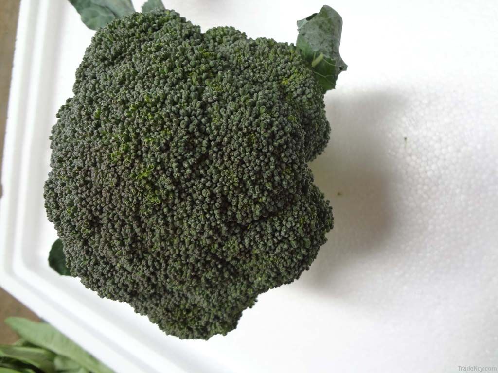 broccoli