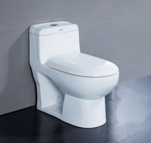 bathroom fitting - ceramic Toilet, water closet