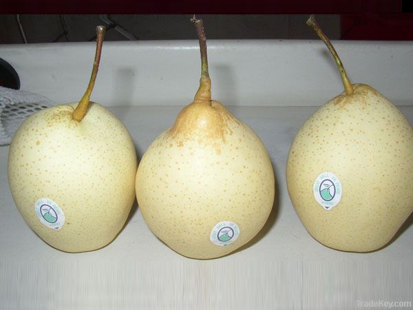 Ya pear