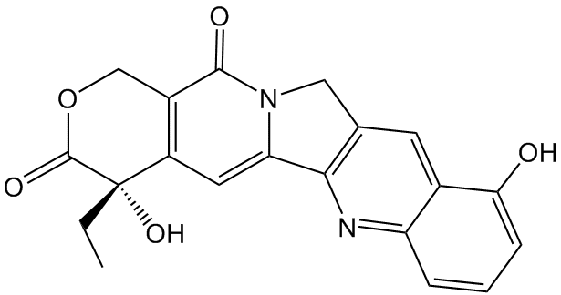 10-hydroxycamptothecine