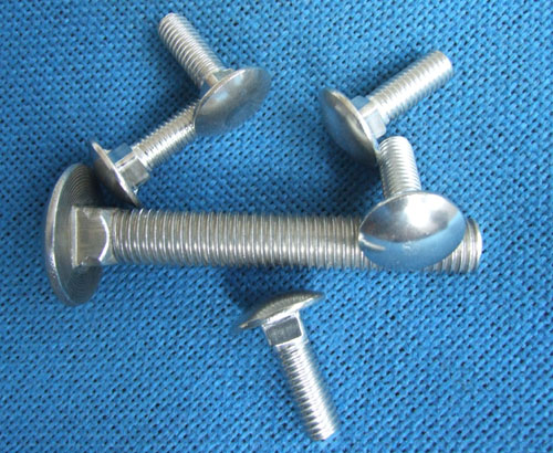 Stainless Steel Carriage Bolts, Mushroom Head Square Neck Bolts, DIN603