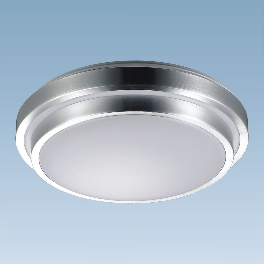 LED Ceiling Light