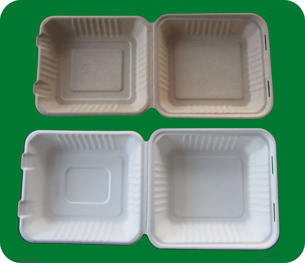 sugarcane bagasse to go containers