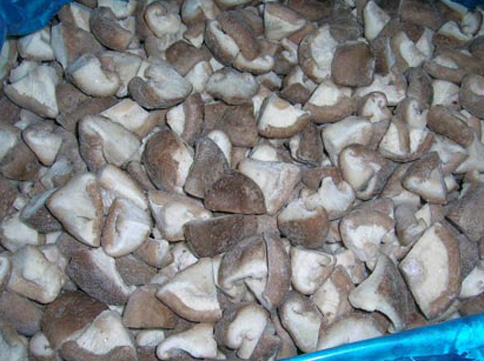 IQF Shiitake Mushroom Quartered