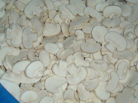 IQF Mushroom champignon Slices