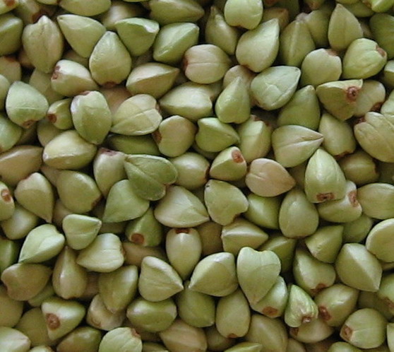 Sell buckwheat kernel
