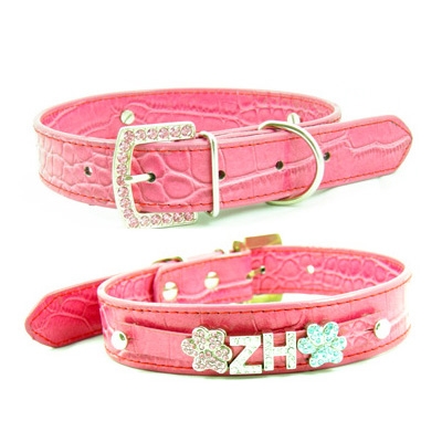 dog collar