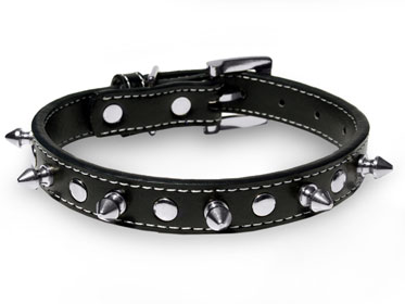 Dog collar