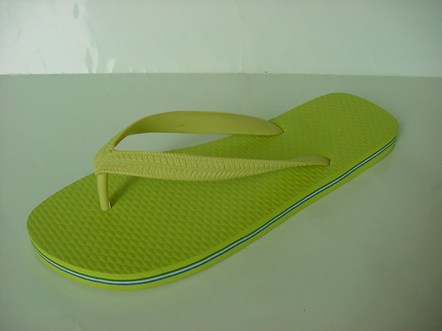 Flip Flop Slipper