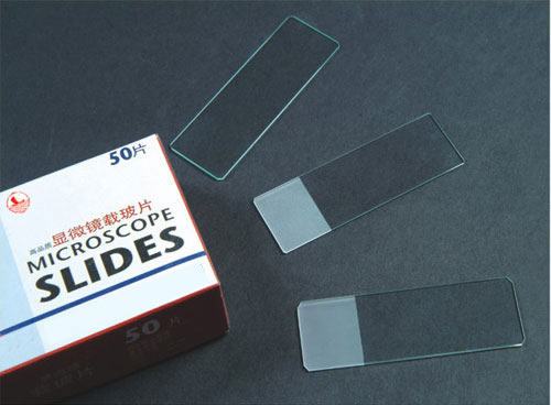 Color Frosted Microscope Slides