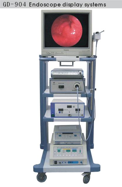 Endoscope Display System