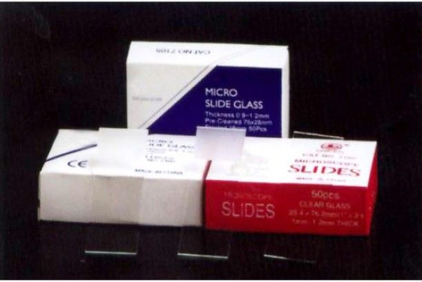 Microscope slides--cut edges