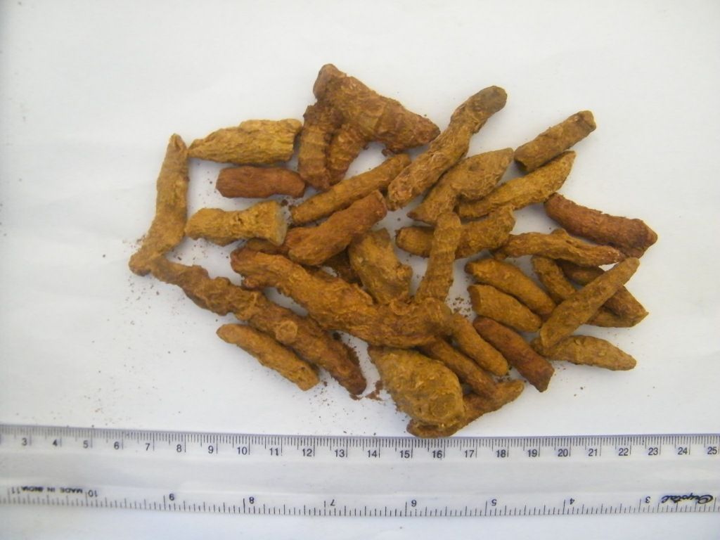 TURMERIC