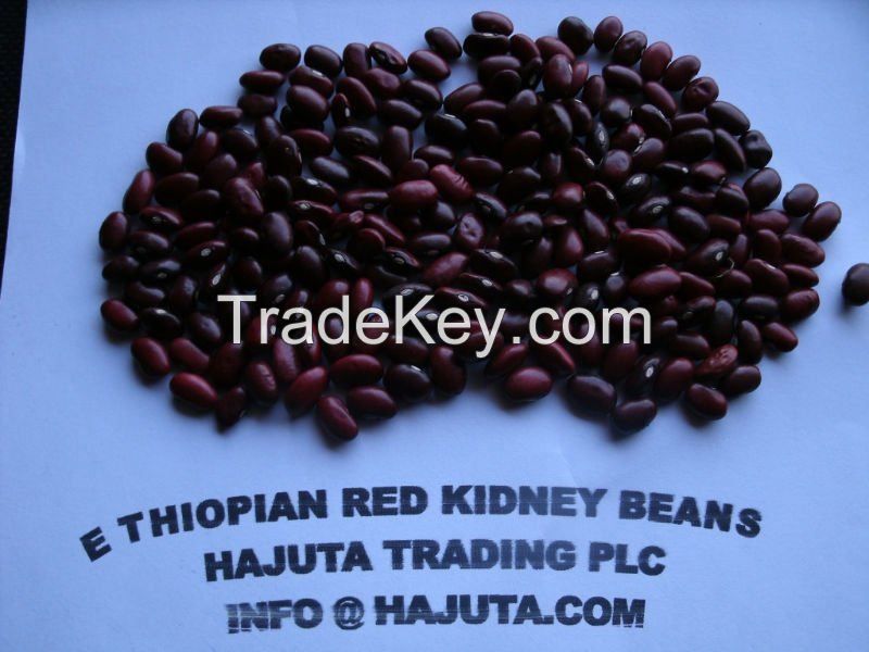 RED KIDNEY BEANS