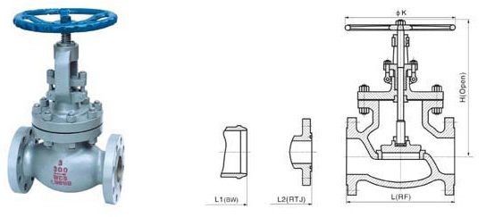 Class 150~1500 Swing Check Valve