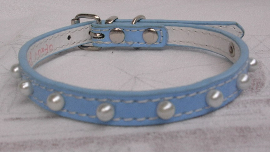 dog collar(cx-19)