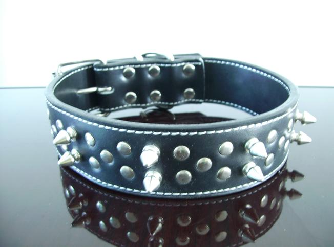 dog collar(TC-L002)