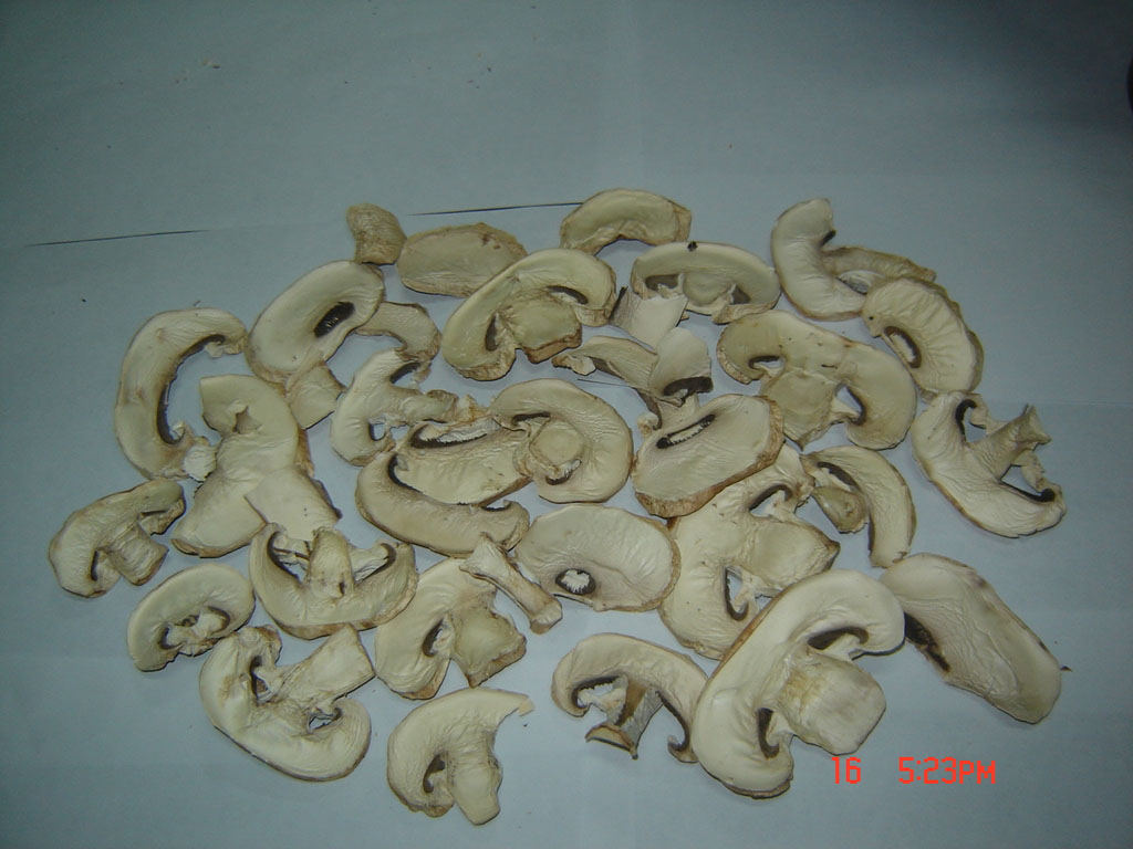 Dried Champignon Mushroom Slices or Small Cuts