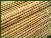 bamboo poles