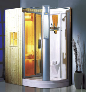 Sauna, wet and dry steam room (B181A)