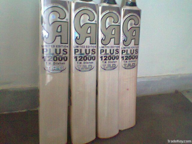 CA 12000 cricket bat