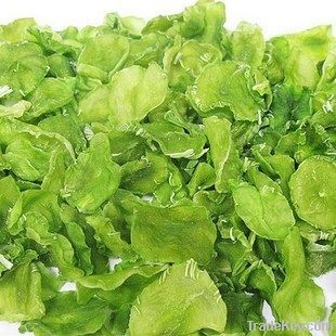 dried lettuce slice