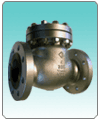 Check Valve