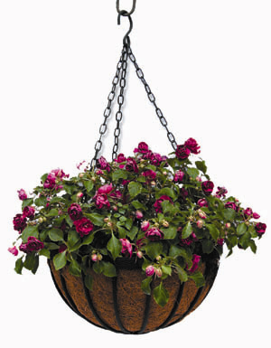 wrought iron hanging basket