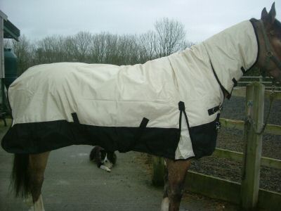 Horse Rug