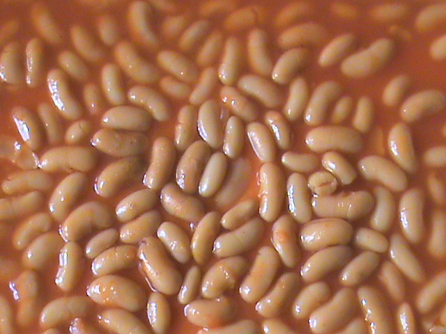 canned white beans in tomato sauce