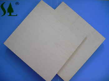 WBP plywood(Core:poplar, birch, pine, Bintangor and so on)