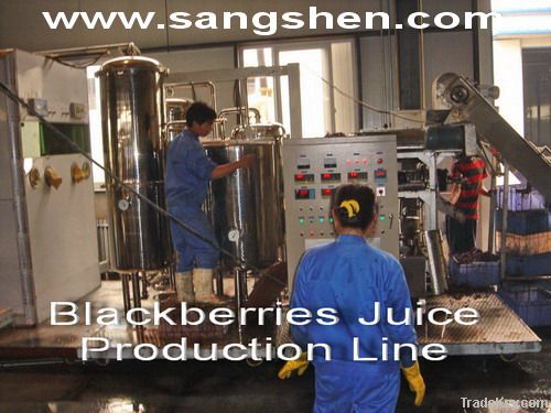 Blackberries Juice Production Line