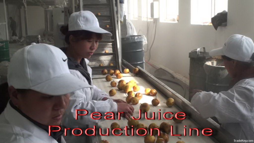 Pear Juice Production Line