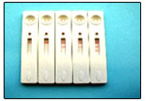 Professional Semiquantitative CRP  Rapid Test