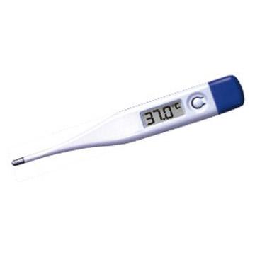 Digital Thermometer Large Size LCD (DT-01B)
