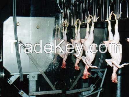 Poultry Processing Plant 2000-6000 birds per hour