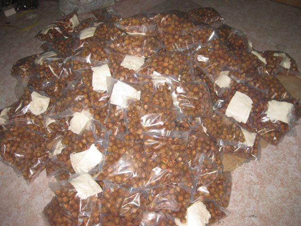 Organic Natural Laundry Soap Nut Shells