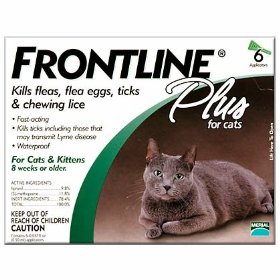 Frontline Plus - Cats and Kittens