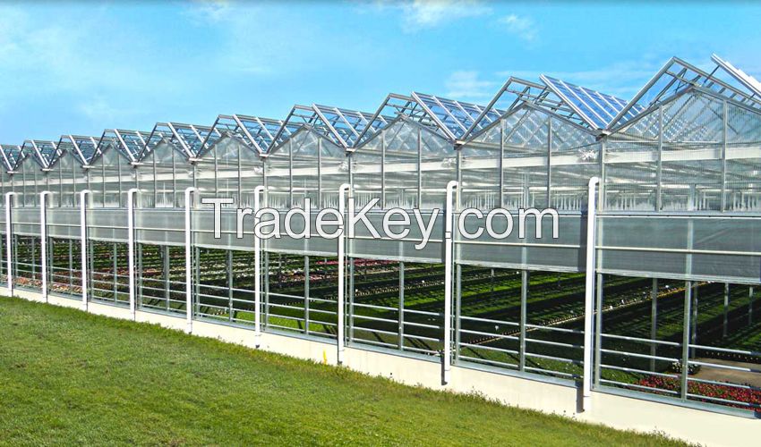 Greenhouse Naturally ventilated NVPH