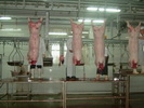 meat process machine