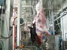 meat processing  machine