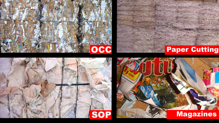 Waste Papers (OINP/OCC/ONP/SOP)