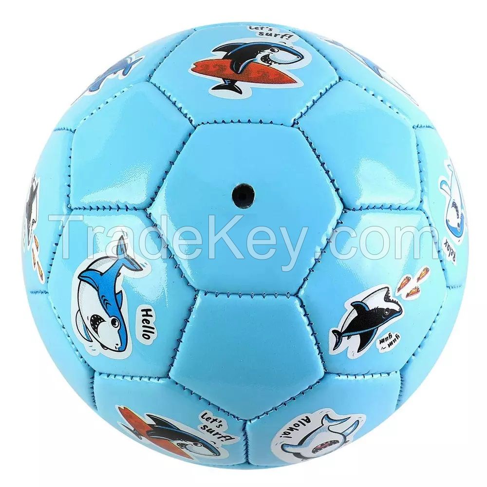 Best Soccer Ball