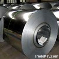 Galvanized Steel Coil