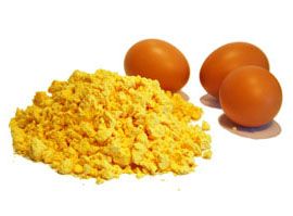 Egg Yolk Powder